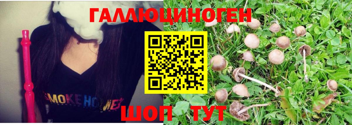 Горно-Алтайск  Галлюциногенные грибы Magic Shrooms  Вход с VPN 