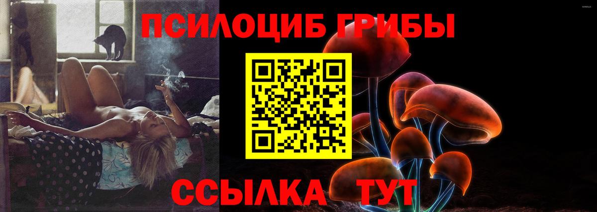 Псилоцибиновые грибы мухоморы Горно-Алтайск